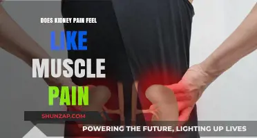 Kidney Pain vs. Muscle Pain: Understanding the Key Differences