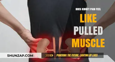Kidney Pain vs. Pulled Muscle: Understanding the Difference in Symptoms