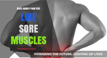 Kidney Pain vs. Sore Muscles: Understanding the Difference in Discomfort