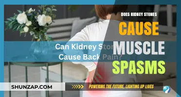 Kidney Stones: Can They Cause Muscle Spasms?