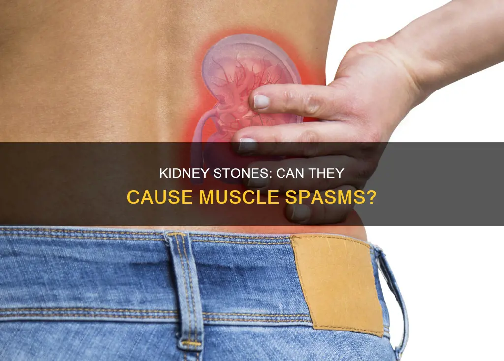 does kidney stones cause muscle spasms