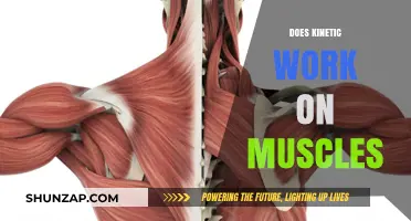 Kinetic Energy's Impact: How It Influences Muscle Function and Strength