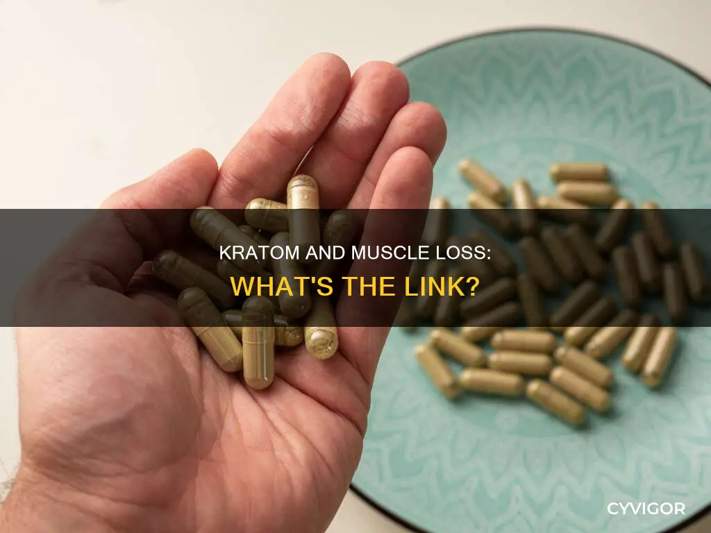 does kratom cause muscle loss