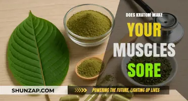 Kratom and Muscle Soreness: Unraveling the Truth Behind the Pain