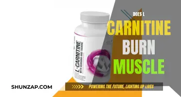 L-Carnitine: Friend or Foe to Muscle Growth?
