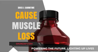 L-Carnitine and Muscle Loss: What's the Link?