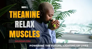 L-Theanine's Muscle Relaxation Benefits: Fact or Fiction?