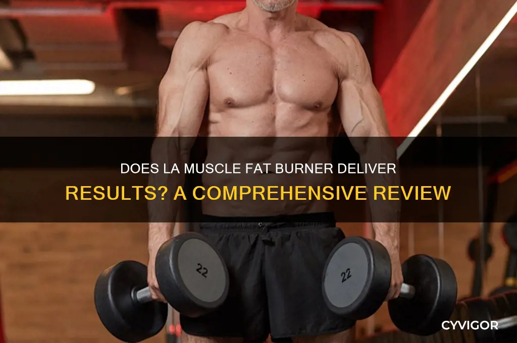 does la muscle fat burner work