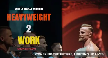 Does LA Muscle Norateen Heavyweight II Deliver Results? A Review