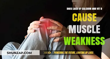 Calcium, Vitamin D Deficiency: A Cause of Muscle Weakness?