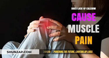 Calcium Deficiency: The Cause of Your Muscle Pain?