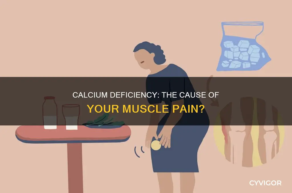 does lack of calcium cause muscle pain