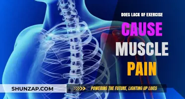 Exercise and Muscle Pain: What's the Link?