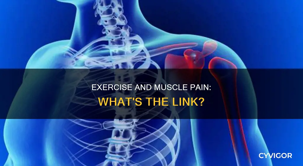 does lack of exercise cause muscle pain