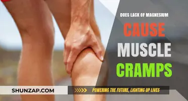 Magnesium Deficiency: The Root Cause of Muscle Cramps?
