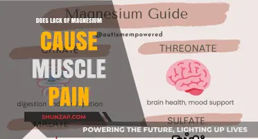 Magnesium Deficiency: Understanding the Link to Muscle Pain