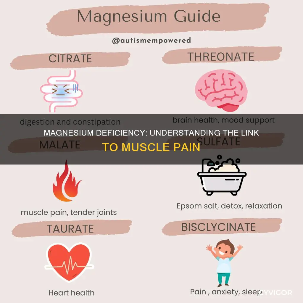 does lack of magnesium cause muscle pain