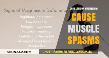Magnesium Deficiency: The Cause of Your Muscle Spasms?
