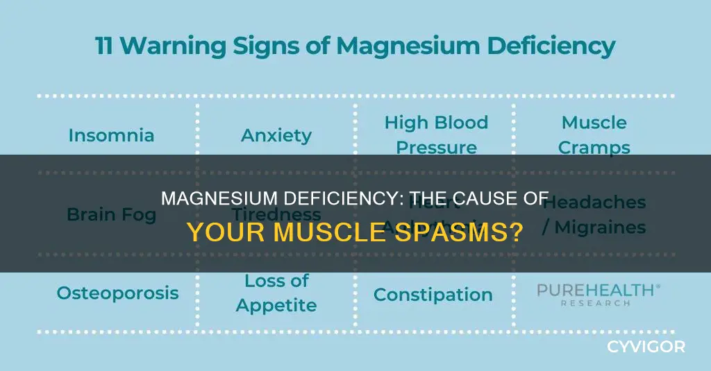 does lack of magnesium cause muscle spasms