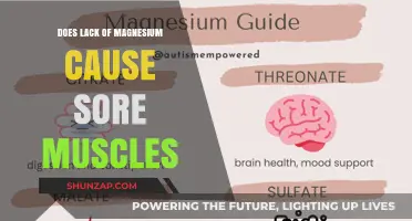 Magnesium Deficiency: The Cause of Your Sore Muscles?