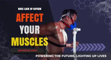 Unleashing the Power: How Oxygen Fuels Your Muscles