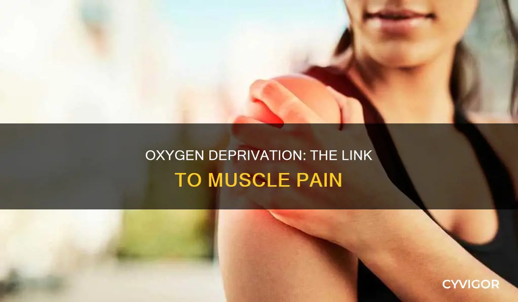 does lack of oxygen cause muscle aches