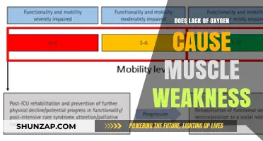 Oxygen Deprivation: Its Impact on Muscle Weakness