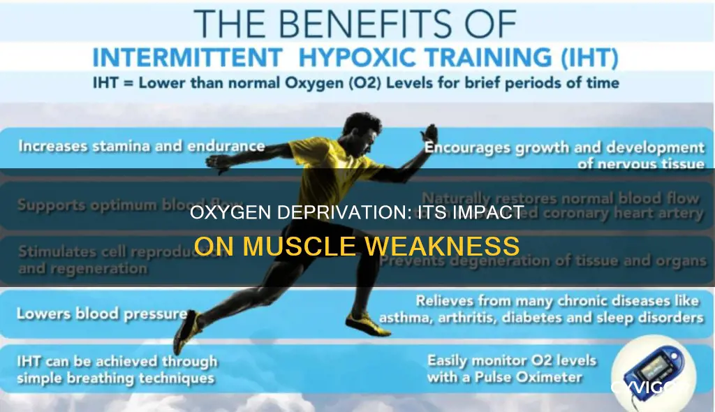 does lack of oxygen cause muscle weakness