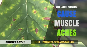 How Potassium Deficiency Triggers Muscle Aches