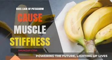 Potassium Deficiency: A Cause of Muscle Stiffness?