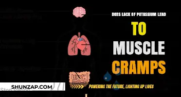 Unraveling the Myth: Potassium Deficiency and Muscle Cramps Connection
