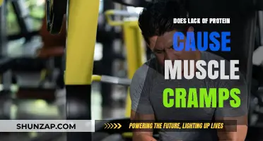 Protein Deficiency: The Cause of Muscle Cramps?