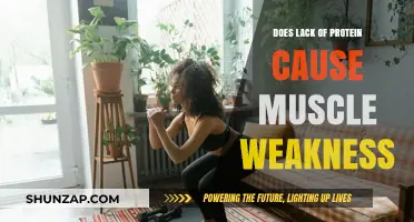 Protein Deficiency: The Impact on Muscle Strength and Health