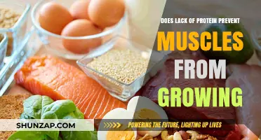 Can Low Protein Intake Really Hinder Muscle Growth?