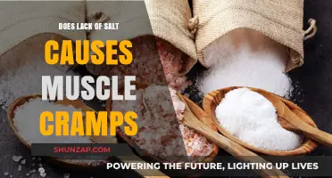 Salt Deficiency: The Cause of Muscle Cramps?