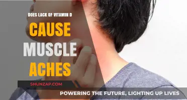 Vitamin D Deficiency: The Link to Muscle Pain