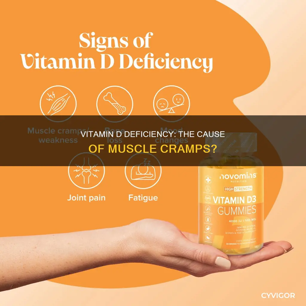 Vitamin D deficiency and muscle cramps connection overview