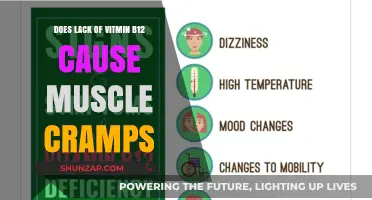 Vitamin B12 Deficiency: The Link to Muscle Cramps