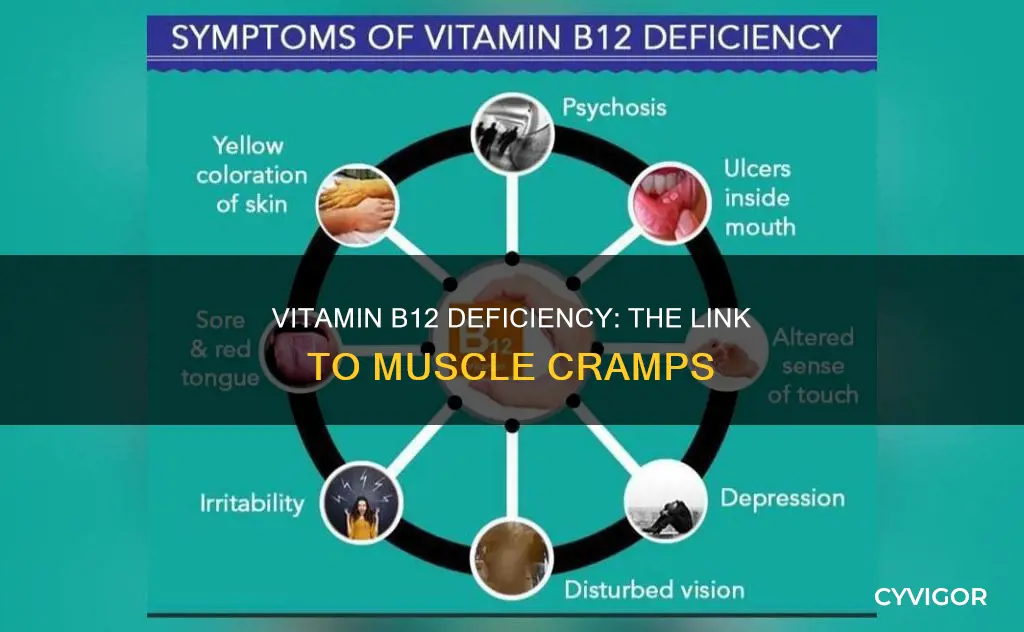 does lack of vitmin b12 cause muscle cramps