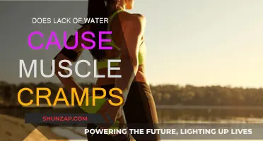 Hydration and Muscle Cramps: Is There a Link?