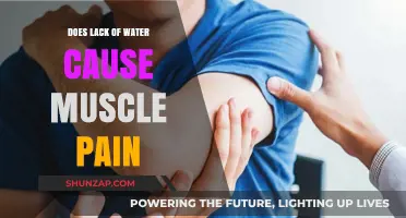 Hydration and Muscle Pain: The Surprising Link