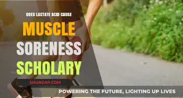 Lactate Acid and Muscle Soreness: What's the Connection?