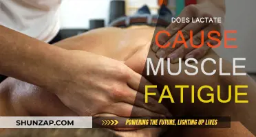 Lactate and Muscle Fatigue: What's the Real Deal?