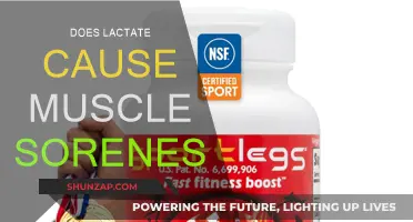 Lactate and Muscle Soreness: What's the Real Connection?