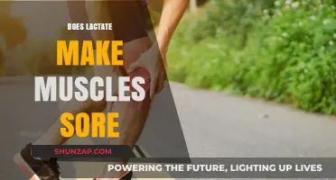 Lactate and Muscle Soreness: Debunking the Post-Workout Pain Myth
