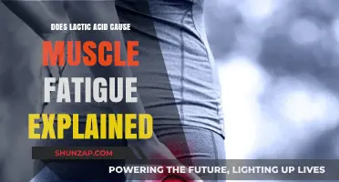 Lactic Acid: The Muscle Fatigue Mystery Explained
