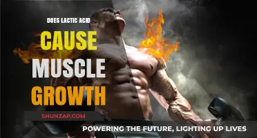 Lactic Acid: Friend or Foe for Muscle Growth?