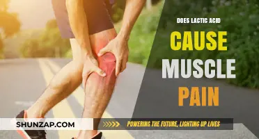 Lactic Acid: Friend or Foe in Muscle Pain?