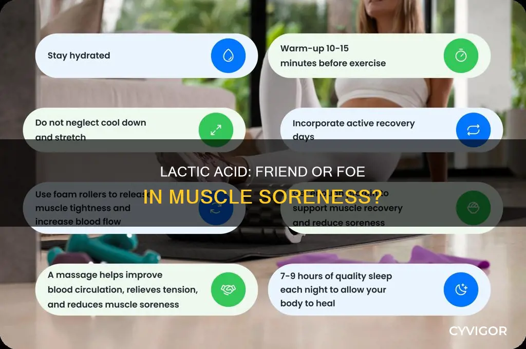 does lactic acid cause muscle soreness