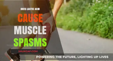 Lactic Acid: Friend or Foe in Muscle Spasms?